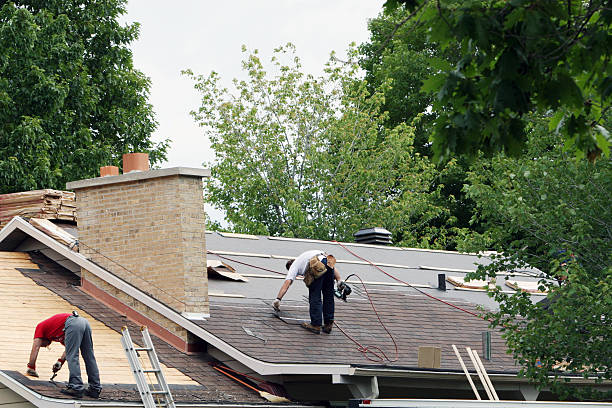 Best Roof Gutter Cleaning  in Herald Harbor, MD